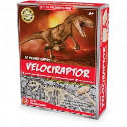 Kit Paléo : Vélociraptor - ULYSSE