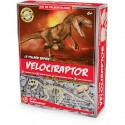 Kit Paléo : Vélociraptor - ULYSSE