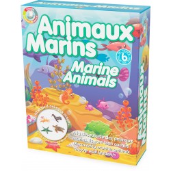 Kit découverte: les animaux marins - ULYSSE