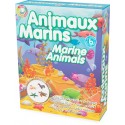 Kit découverte: les animaux marins - ULYSSE